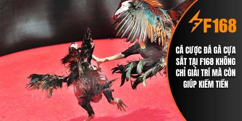 Cá cược đá gà cựa sắt tại F168 không chỉ giải trí mà còn giúp kiếm tiền