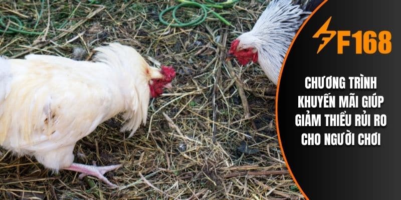 Chương trình khuyến mãi giúp giảm thiểu rủi ro cho người chơi