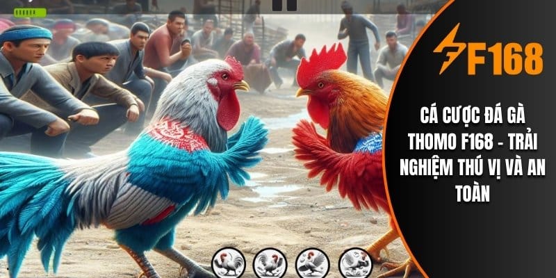 Cá Cược Đá Gà Thomo F168 - Trải Nghiệm Thú Vị Và An Toàn