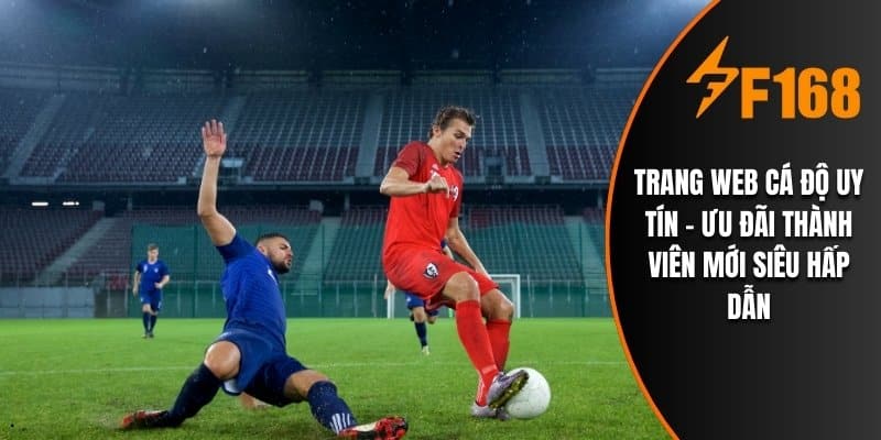 Trang Web Cá Độ Uy Tín – Ưu Đãi Thành Viên Mới Siêu Hấp Dẫn